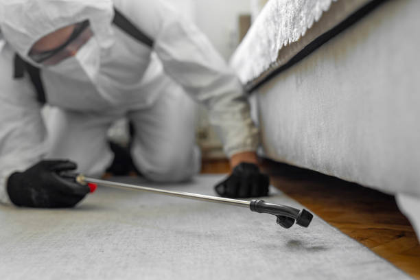 Professional Bed Bug Control technician working in Garden City, KS