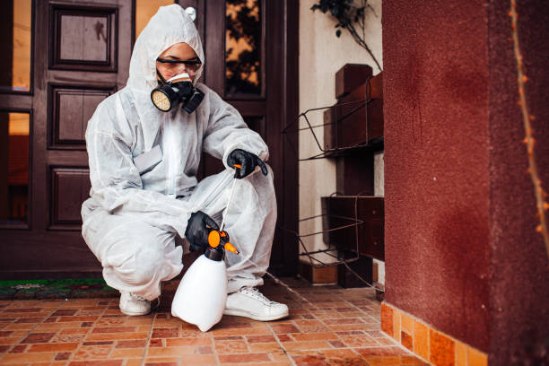 Reliable Bed Bug Control contractor in Garden City, KS by Nex Pest Control